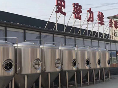穆棱精酿啤酒设备厂—如何判断精酿啤酒设备的密封件需要更换？